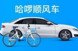 【2分钟科普】拉萨公司咨询电话号码_哔哩哔哩-3